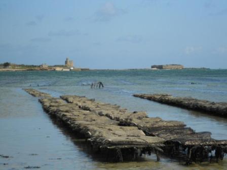 Manoir En Cotentin , Tamerville Екстериор снимка